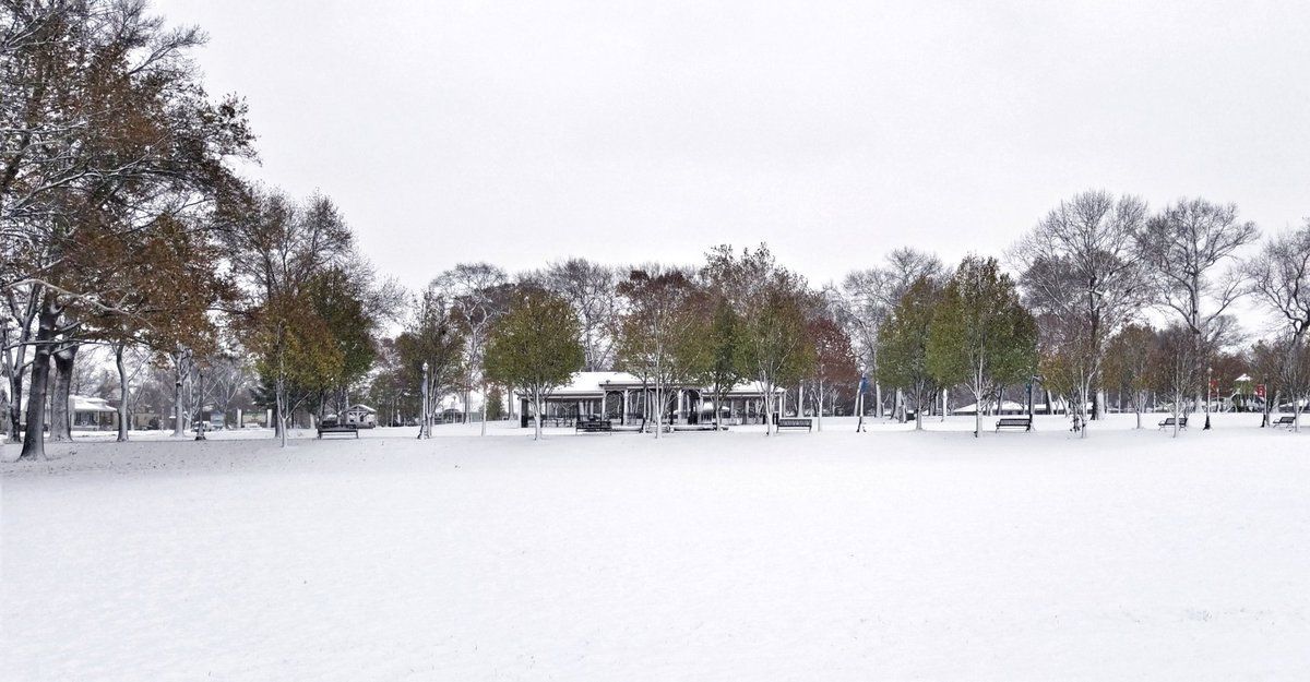 Griffith snow